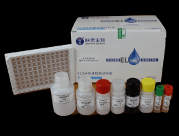 牛羊布氏杆菌抗体检测试剂盒