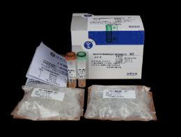 （II级防污）非洲猪瘟荧光PCR试剂盒
