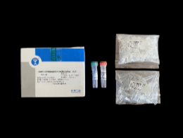 （I级防污）非洲猪瘟病毒实时荧光PCR检测试剂盒