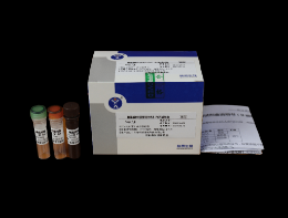 禽流感病毒 H9 亚型荧光 PCR 扩增试剂盒